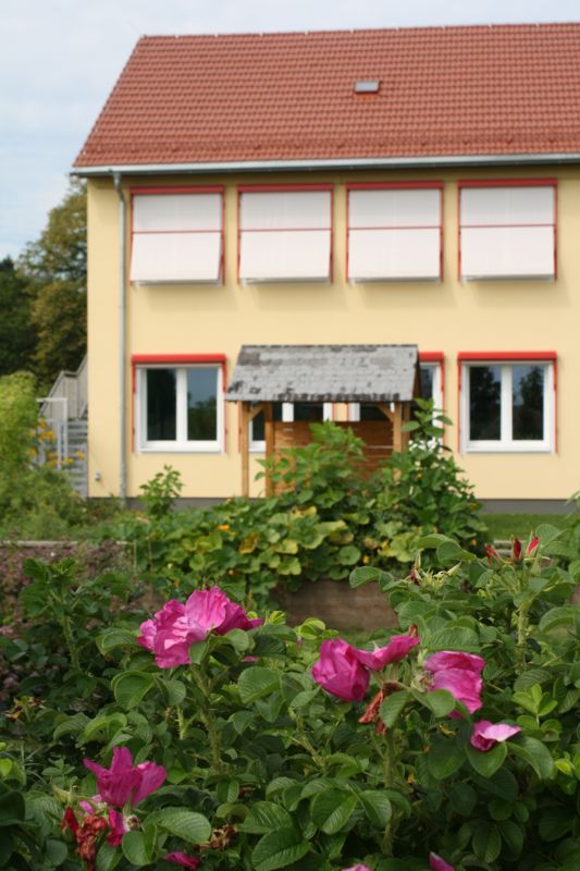 Neubau